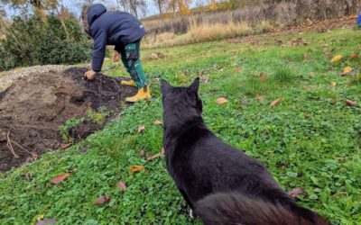 12 von 12 im November 2025: Alltag mit Katze & Kind