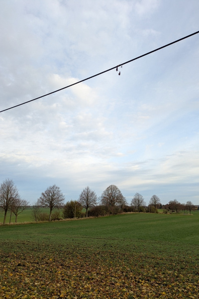 Ein mit Wolken bedeckter Novemberhimmel, darunter eine Straße, die mit laublosen Bäumen gesäumt ist und davor liegt ein Feld, auf dem bereits die Wintergerste sprießt. Mitten durch das Bild führt eine Telefonleitung durch den Himmel, ein kleiner Zweig hängt an der Leitung.