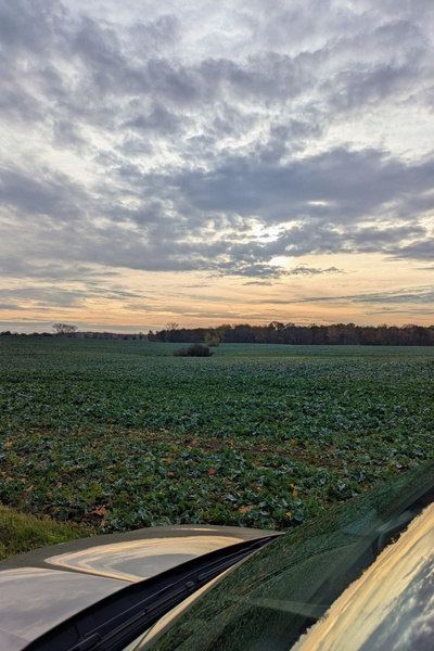 Ein nebliger Sonnenaufgang hinter einem weiten Feld. Die Stimmung ist noch träge, die Farben eher matt und dunkel.