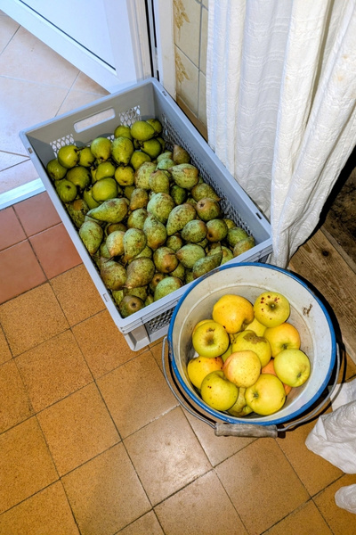 Eine Kiste mit Birnen und ein Eimer mit Äpfeln stehen im Eingangsbereich einer Küche.