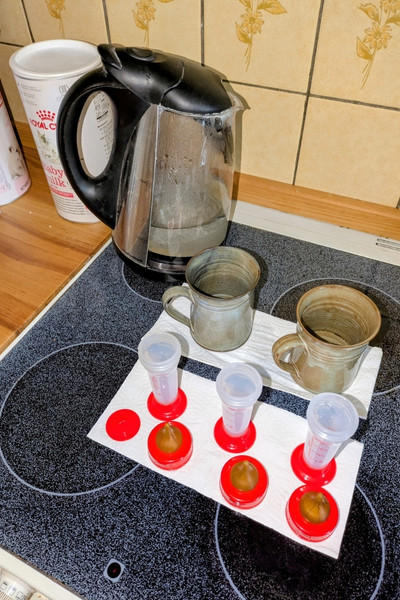 Auf einem Ceranfeld eines Herdes steht hinten ein Glas-Wasserkocher, davor stehen zwei Tassen, die als Wasserbad dienen werden und davor stehen drei Aufzuchtfläschchen.
