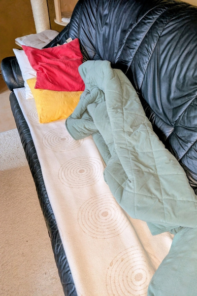 Ein grünes Ledersofa mit aufgeschlagener Decke. Hier lag eben noch die Päppelmama und ruhte zwischen den Mahlzeiten aus.