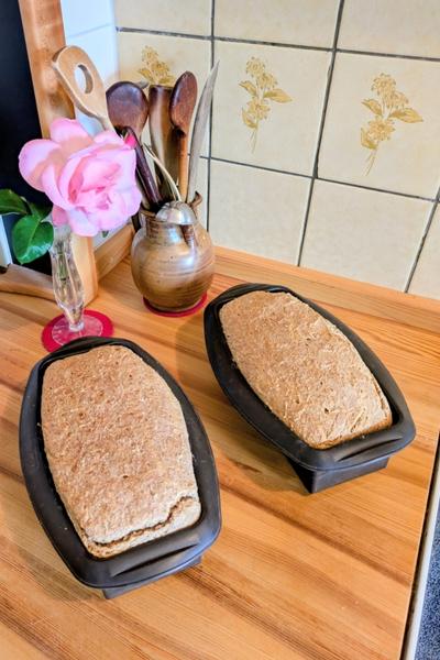 Zwei Laibe Brot stehen in ihrer Form auf einer Anrichte. Sie kühlen nach dem Backen aus.