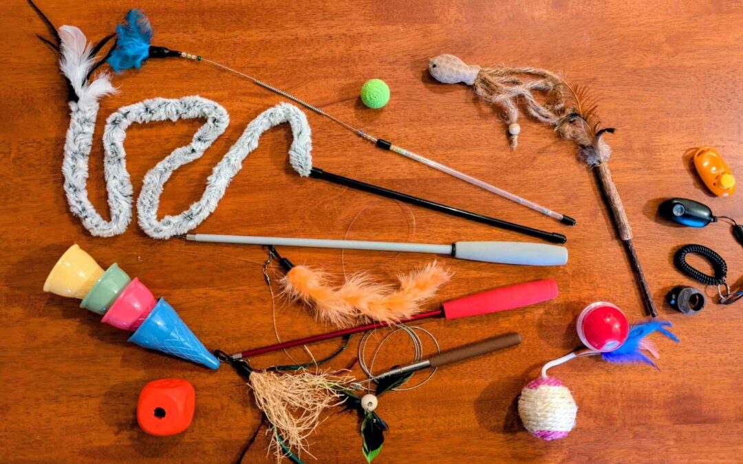 12 von 12 im Dezember 2025: der letzte 12 von 12 in 2025