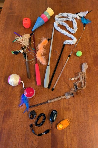 Auf einem Tisch liegt verschiedenes Katzenspielzeug: Angeln, Snackball, Clicker, Bälle, Federwedel usw.