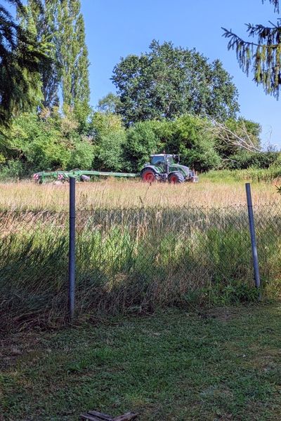 Auf einer Wiese fährt ein Traktor und mäht die erste Mahd.