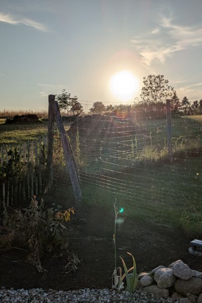 Am Horizont hinter einem kleinen Hügel geht die Sonne unter. Ganz leicht erkennt man, wie der Mond sich vor die Sonne schiebt. Der Beginn der Sonnenfinsternis 2026. Das Licht ist bereits grau-blau gefärbt.