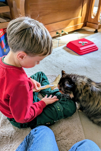 Ein Junge spielt mit seiner Katze auf einem Teppich das Spiel "Free Work".