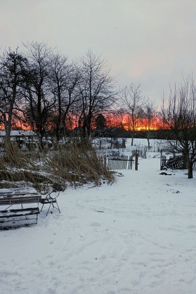 Ein Sonnenaufgang in verschneiter Landschaft: Im Hintergrund der glutrote Sonnenball, davor eine Wiese, die von kahlen Büschen und vereinzelten Bäumen gesäumt ist.