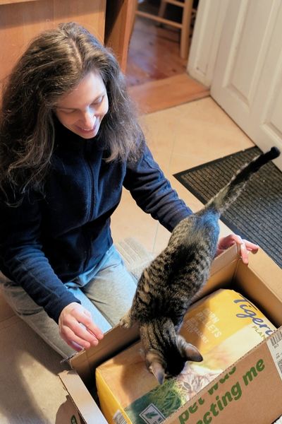 Eine Katzenberaterin packt Pakete aus: Darin u. a. Streu für Katzen. Ein neugieriges Kätzchen inspiziert den Inhalt und sitzt im Karton auf dem Streusack. Das Bild ist von oben runter in die Situation aufgenommen.