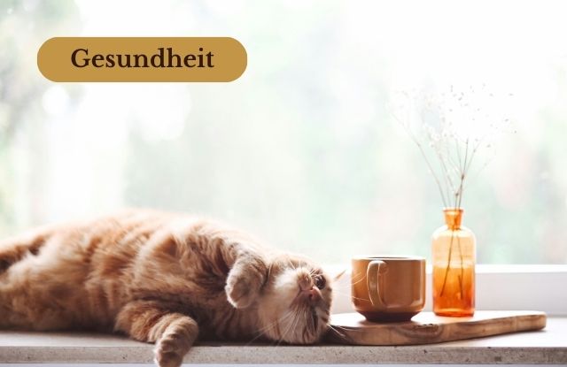 Eine rot getigerte Katze sonnt sich auf einer Fensterbank. neben ihr stehen eine Teetasse und eine Blumenvase mit Wiesenschaumkraut auf einem Brettchen.