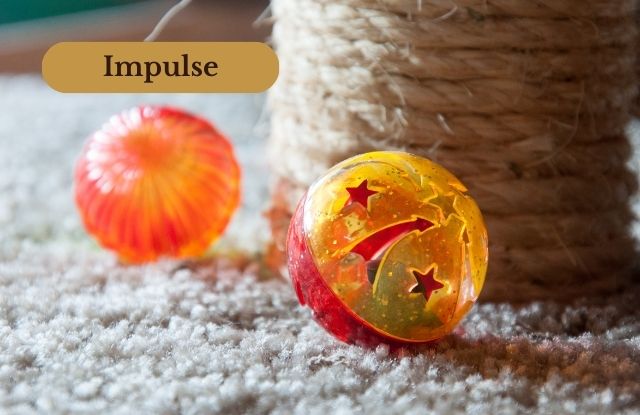 Zwei Spielbälle liegen am Fuß einer Kratzsäule. Bild für die Kategorie "Impulse".