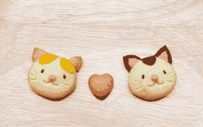Weltkatzentag bewusst feiern: 8 Ideen für mehr Nähe, Spiel und Entspannung Deiner Katze