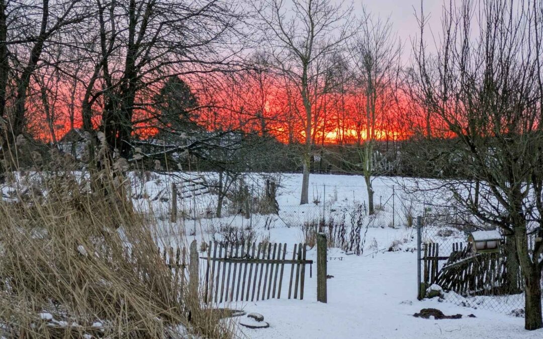 12 von 12 im Januar 2026: fiebernde Kinder & der Beginn einer Erkältungswoche