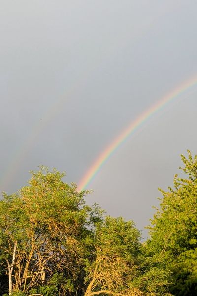 Vor dunkel behangenem Himmel leuchten zwei Regenbogen: Unten ist der kräftigere der beiden, der schwächere leuchtet oben drüber.