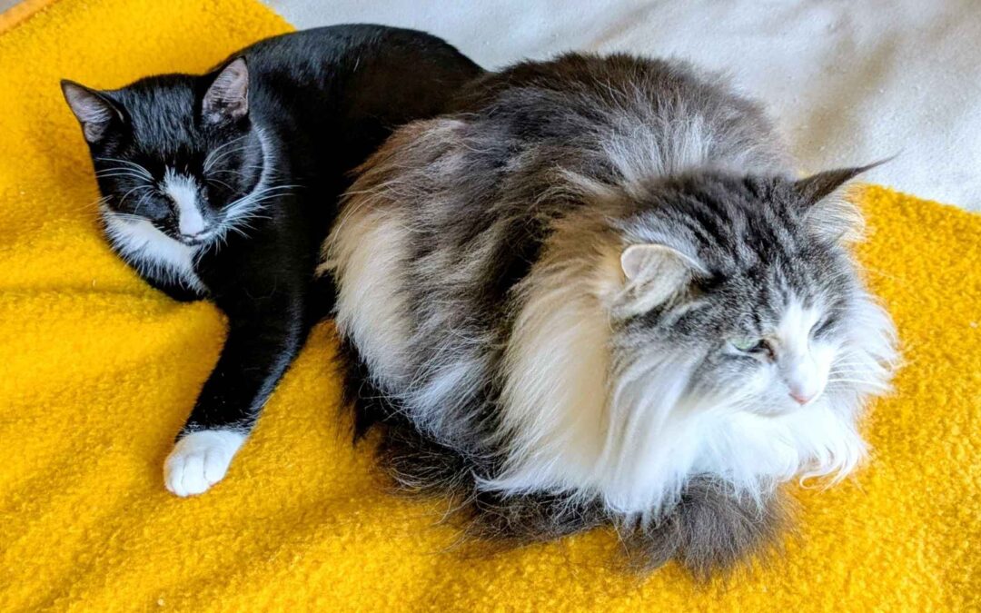 12 von 12 im März 2026: Ab in die Sonne!