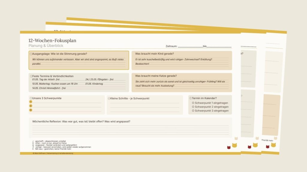 Erste Seite der Vorlage des 12-Wochen-Fokusplans mit Beispiel-Einträgen: Termine für Mai und Juni 2026: Muttertag, Christi Himmelfahrt, Pfingsten, Kindertag. Stimmung in der Familie: verlässlich, aber überlastet. Bedürfnisse von Kind: mehr Nähe- Hinweis aus Zahnwechsel oder Erkältung?, Bedürfnisse der Katze: Rückzug und Unruhe: Hinweis auf zu wenig Auslastung? Farblich ist die Vorlage dezent gehalten: Oben und unten ein goldgelber Streifen, die Ausfüll-Felder in Creme, Beige und Grau unterlegt und in der rechten unteren Ecke sind drei kleine Katzenköpfe in den Branding-Farben der Katzenberaterin arrangiert: Goldgelb, sanftes, dunkles Rot und Creme.