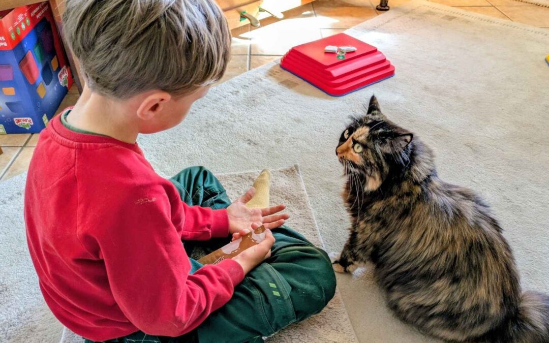 Warum es zwischen Katze und Kind nicht klappt und was das mit Verstehen zu tun hat
