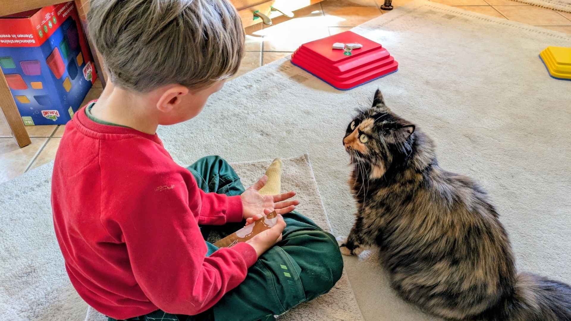 blog-bild-missverstaendnisse-einstieg-mai-2026 Ein Junge von etwa 6 Jahren sitzt gemeinsam mit einer dreifarbigen britisch Langhaar-Katze auf einem creme farbenen Teppich. Sie schaut ihn an, er hält eine Schleckpaste in seiner Hand.