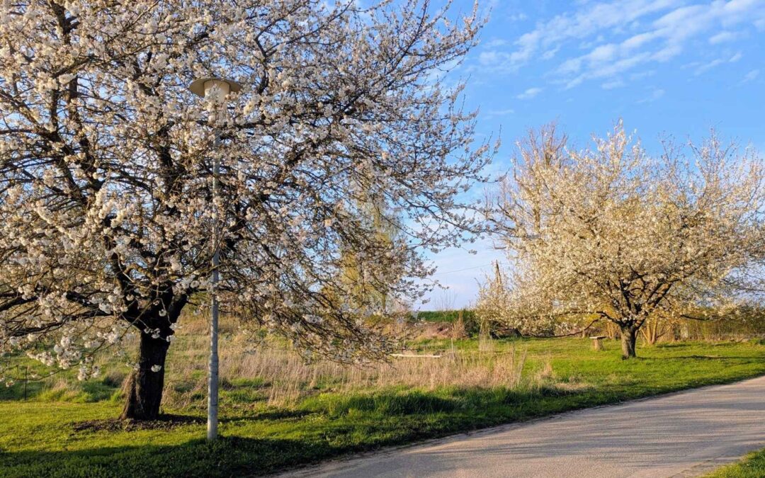 Monatsrückblick April 2026: Neue Wege, neues Kribbeln