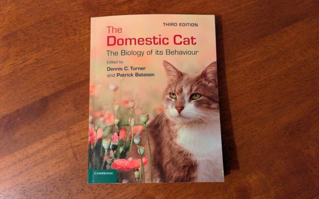 Dennis C. Turner – Wie ein Ethologe unsere Sicht auf Katzen veränderte