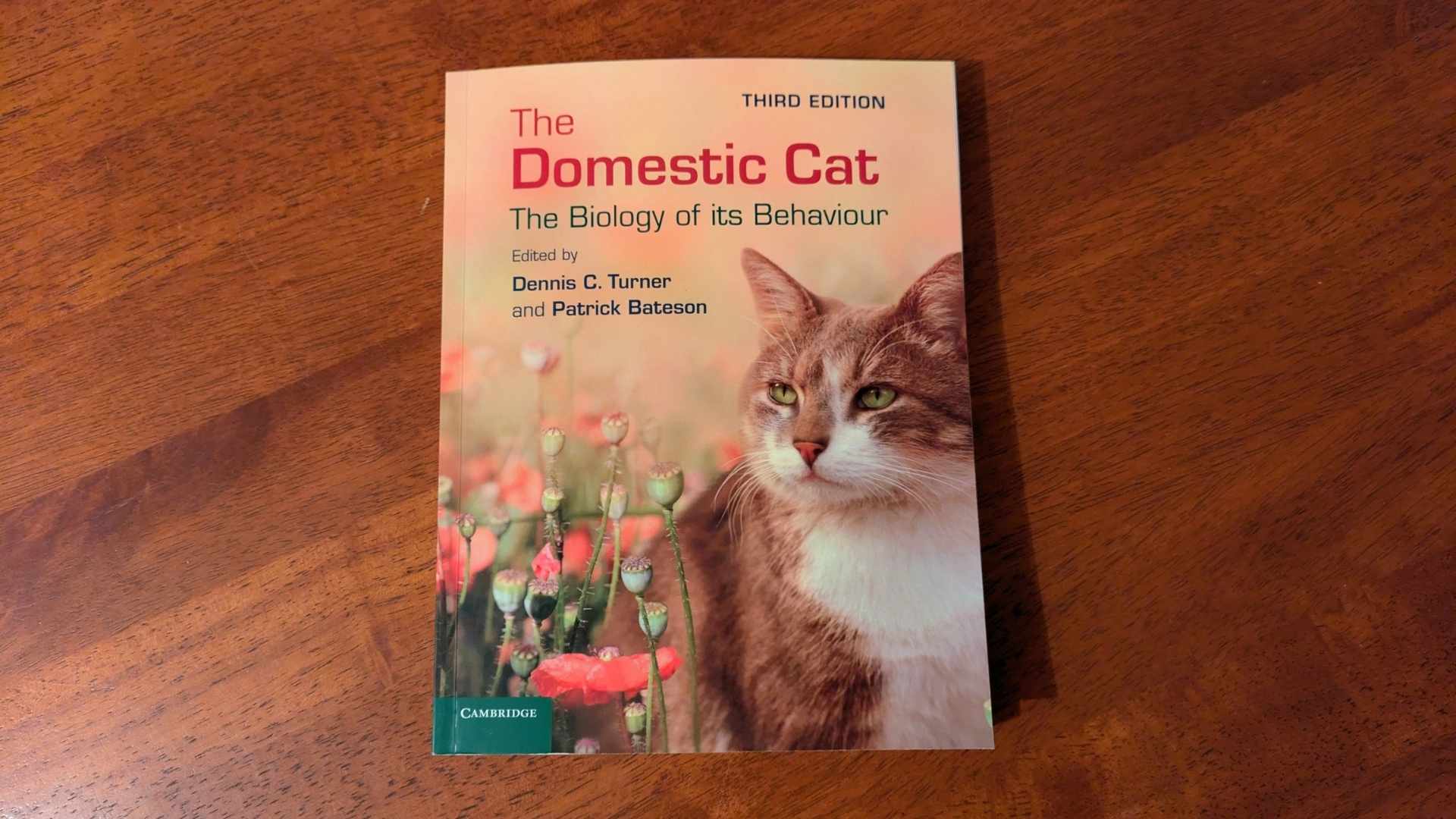 Auf einem braunen Holz-Küchentisch liegt das Buch "The Domestic Cat" von Dennis C. Turner und Patrick Bateson. Das Cover zeigt eine kurzhaarige rote Katze mit weißer Maske und Latz und grünen Augen, die in einem Mohnblumen-Feld sitzt.