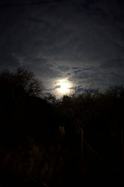 Hinter einem mit Wolken bedecktem Himmel strahlt der Super-Vollmond im November 2025.