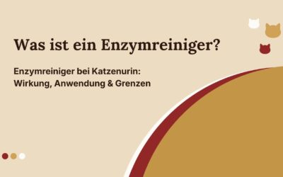Enzymreiniger bei Katzenurin: Wirkung, Anwendung & Grenzen