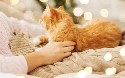 Weltfrauentag 2026: Was Katzen uns über Macht beibringen – und warum das vielen Menschen nicht gefällt