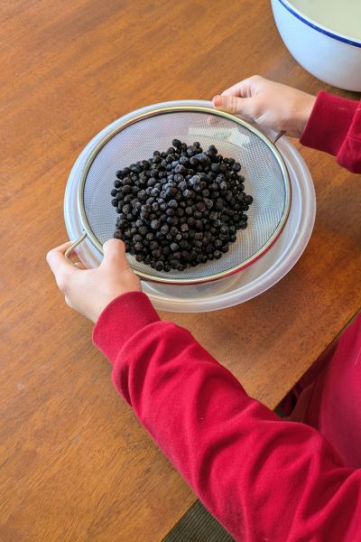 Ein Kind in rotem Pullover schüttelt gefrorene Heidelbeeren durch ein Sieb über einer Schüssel.