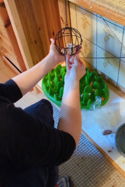 Eine Frau füllt einen Snackball für Nager mit Hühnchenfilet. Der Snackball hängt an einem Haken in einem regal. Darunter befindet sich ein grünes Fummelbrett.