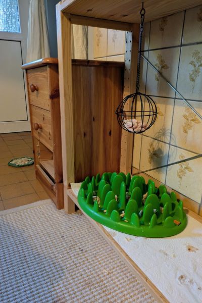 Der Snackball mit Hühnchenfilet hängt im Regal über dem grünen Fummelbrett. Im Hintergrund liegt eine Schleckmatte mit Snackcreme.
