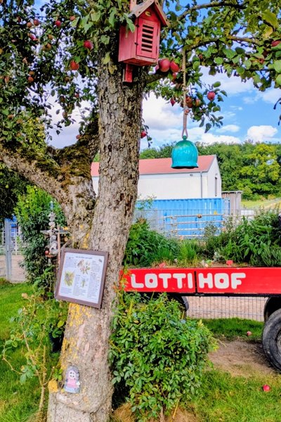 Der Eingang zum Lottihof ist gekennzeichnet durch einen Karren, auf dem der Name des Gnadenhofes steht. Der Karren ist mit Kräutern und kleinen Blumen bestückt und steht unter einem Apfelbaum