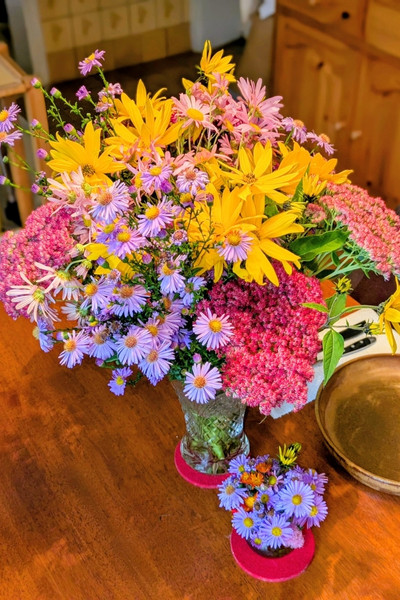 Ein bunter Blumenstrauß aus Gartenblumen: Herbstastern, Fetthenne und Topinambur.