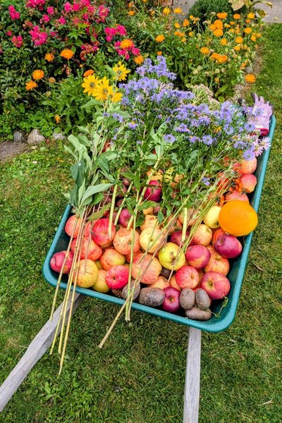 Eine Schublade voll mit Früchten und darüber liegen Blumen.