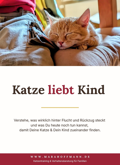 katze-liebt-kind-booklet-cover