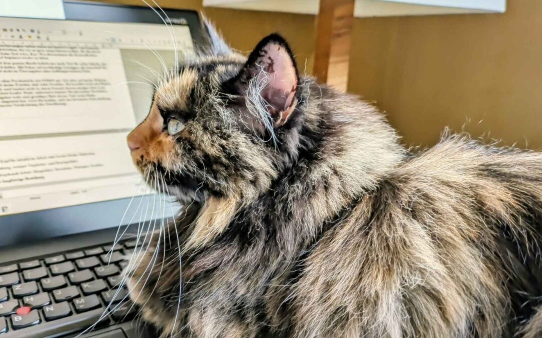 Meine Unternehmensphilosophie- ohne Social Media & Co.