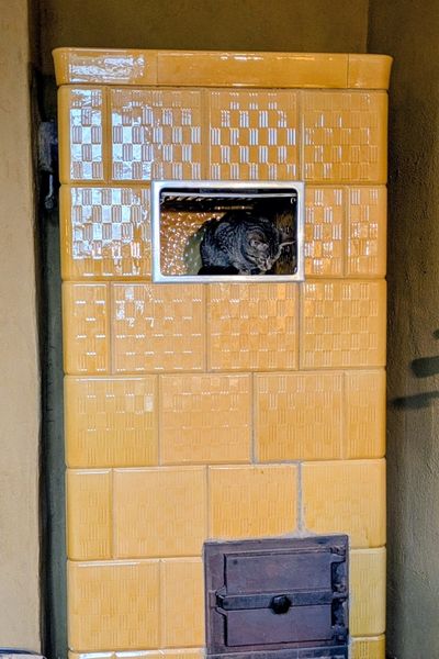 Ein grau getigertes Kätzchen sitzt in der Röhre eines goldenen Kachelofens.