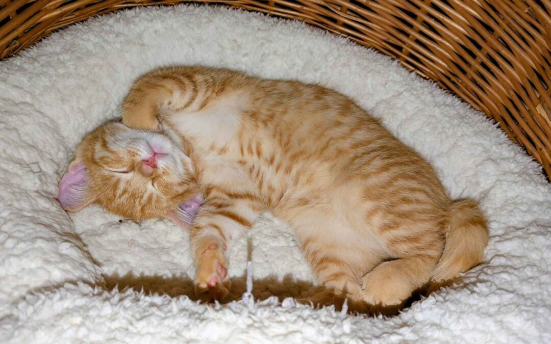 Mein Motto für 2026: Mein Weg – meine Art – mein Tempo