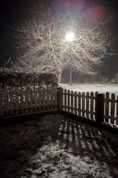 In dunkler Nacht leuchtet eine Laterne in einem kahlen Kirschbaum im November. Es schneit und der erste Schnee des Jahres bedeckt die Straße und einen Vorgarten mit einer Buchenhecke.