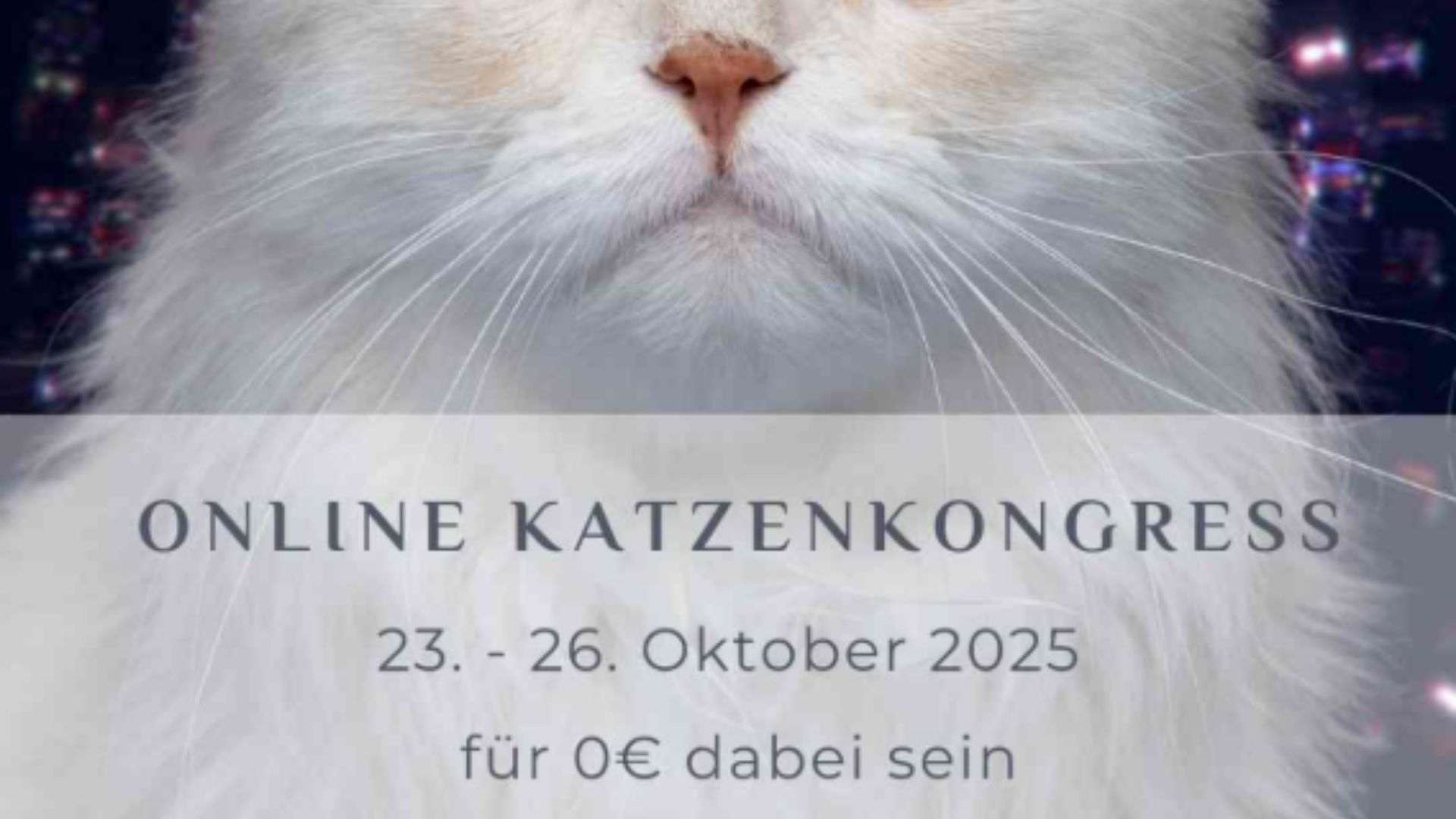 Infos zum Online Katzenkongress: 23.10.-26.10.2025 für 0€ dabei sein