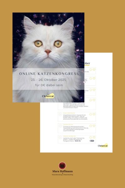 Das Plakat zum Online Katzenkongress 2025: Titelblatt und Programmblatt von Tag 2.