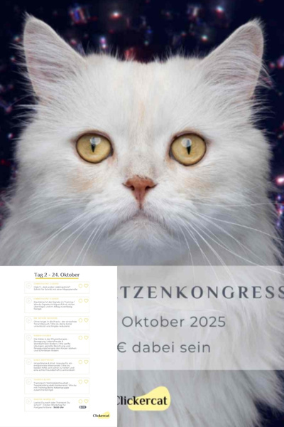 Plakat zum Online Katzen-Kongress 2025