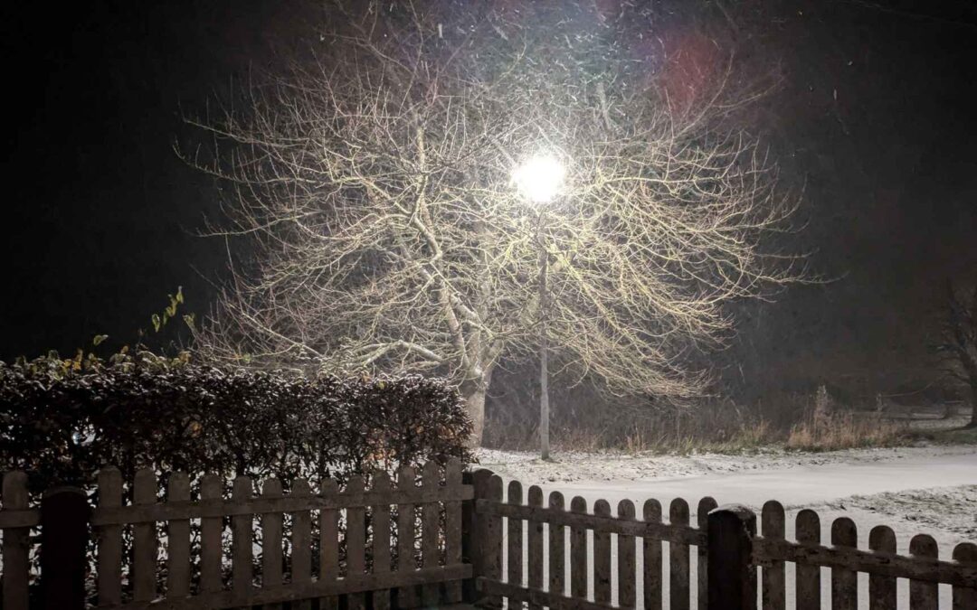 Monatsrückblick November 2025: Wie soll es jetzt weitergehen?