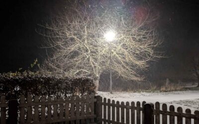 Monatsrückblick November 2025: Wie soll es jetzt weitergehen?