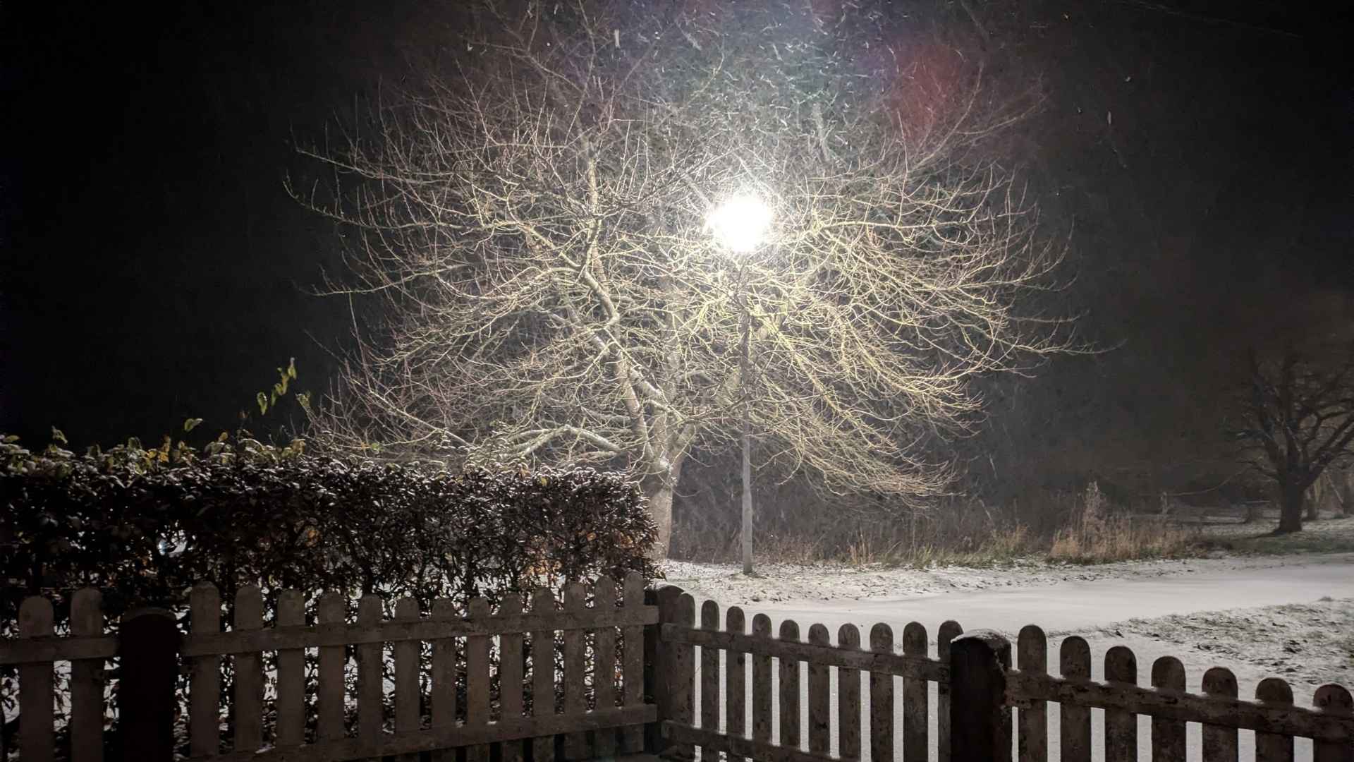 rueckblick-november-2025 Ein nächtlicher Blick auf den ersten Schnee im November 2025 auf den Vorgarten, eine Straße und dem Kirschbaum. Im Kirschbaum leuchtet die Straßenlaterne: dadurch leuchtet die schneebedeckte Straße noch mehr und der Hintergrund versinkt in dunklem Schwarz.