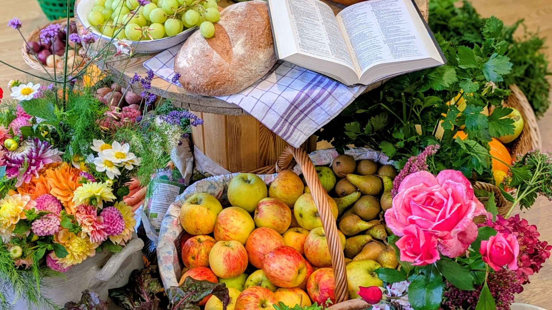 Arrangement von Früchten und Gemüse zum Ernte-Dank-Fest