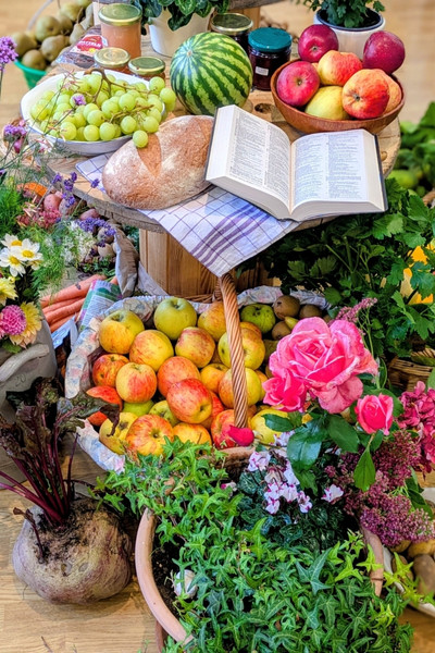 Ernte-dank-Gaben werden hübsch arrangiert. Mittig liegt eine Bibel- ein Hinweis, dass Leben nur durch Leben entsteht.