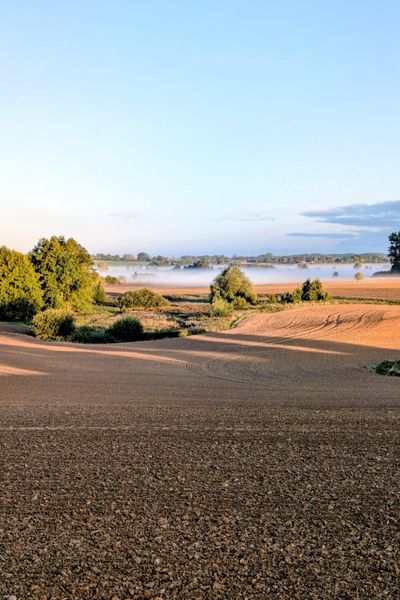 Ein gegrubbertes Feld ist bei einem Sonnenaufgang im September in Nebel gehüllt.