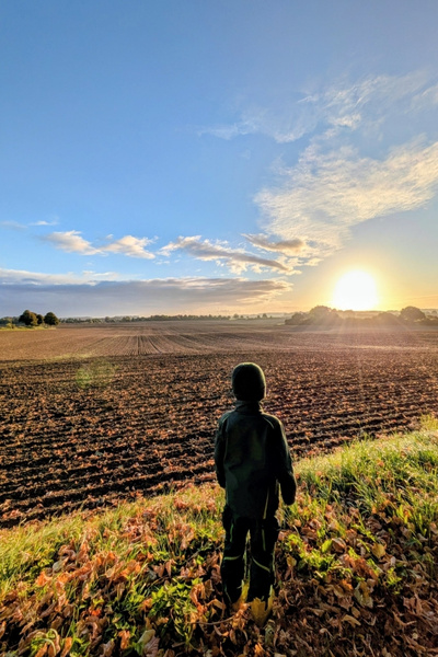 Ein Junge steht vor einem Feld. Er blickt der aufgehenden Sonne entgegen.